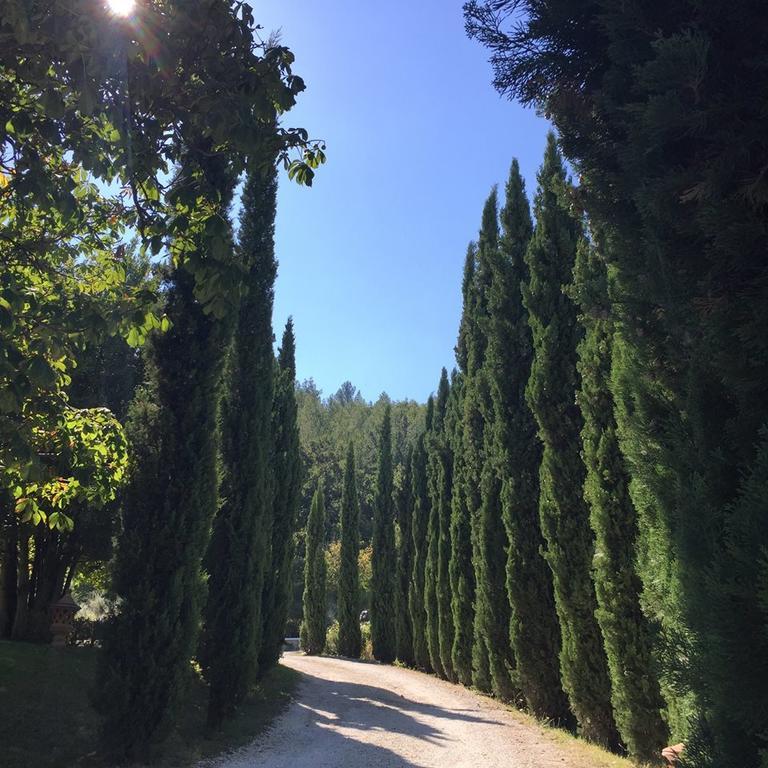 Agriturismo Monastero Di San Biagio Nocera Umbra Exteriér fotografie